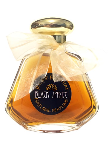 TRNP Black Spruce