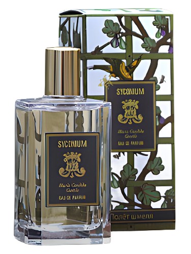 Maria Candida Gentile Syconium fragrance bottle