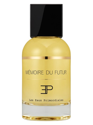 Les EAUX Primordiales Memoire du Futur