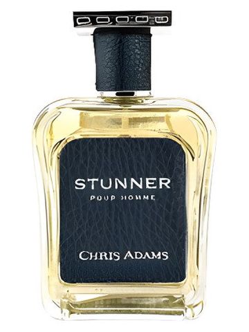 Chris Adams Stunner Pour Homme fragrance bottle