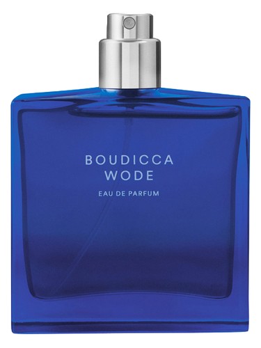 The Beautiful Mind Series Boudicca Wode