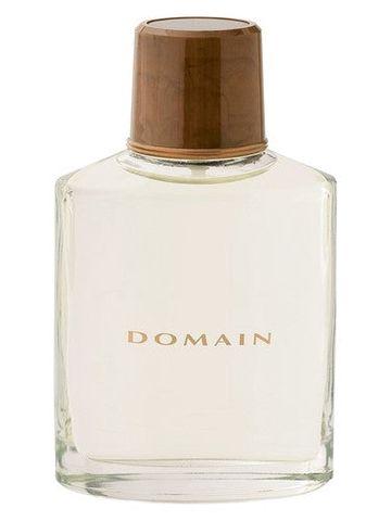 Mary Kay Domain fragrance bottle
