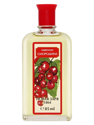 Новая Заря (The New Dawn) Смородина (Currant)