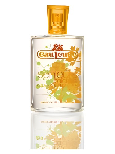 Eau Jeune Orange Riviera