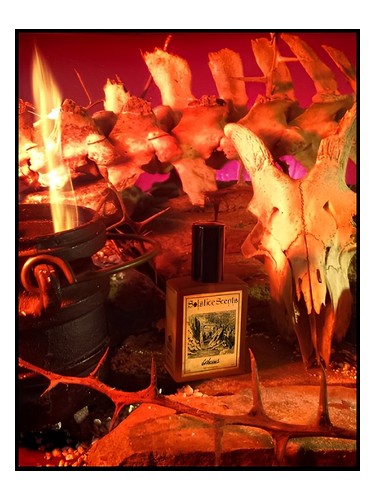Solstice Scents Gehenna