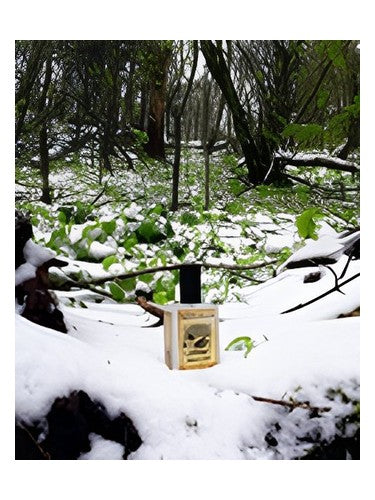 Solstice Scents Snowmint Mallow