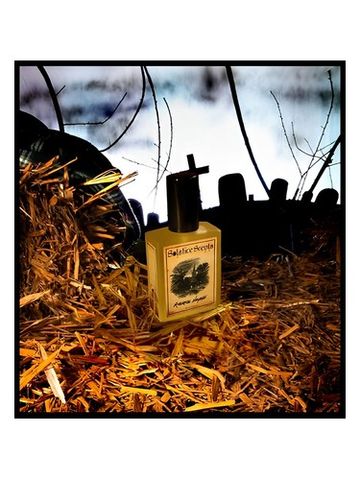 Solstice Scents Riverside Hayride fragrance bottle