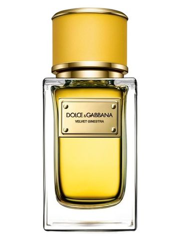 Dolce Gabbana Velvet Ginestra fragrance bottle