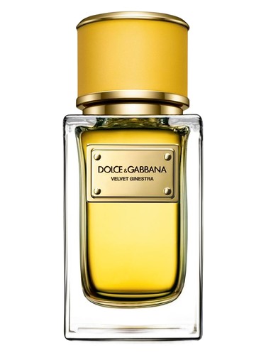 Dolce Gabbana Velvet Ginestra fragrance bottle