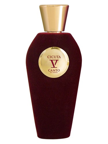 V Canto Cicuta fragrance bottle