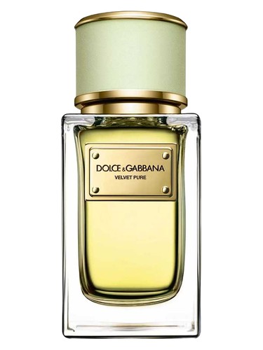 Dolce Gabbana Velvet Pure fragrance bottle