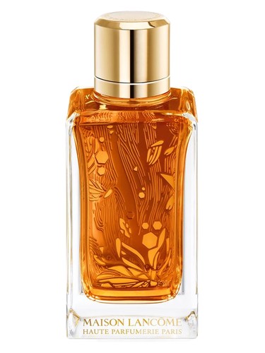 Lancôme Oud Ambroisie fragrance bottle