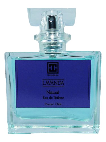 Terragonia Lavanda