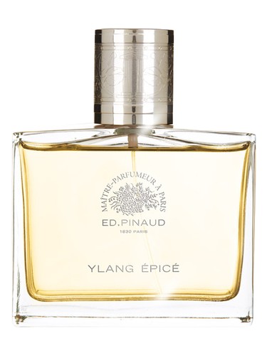 Ed Pinaud Ylang Épice