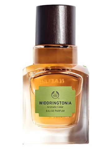 The Body Shop Widdringtonia fragrance bottle