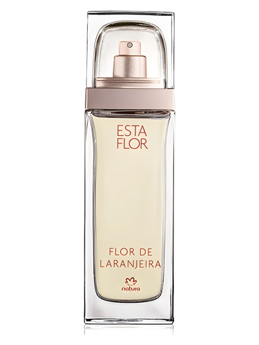 Natura Esta Flor Flor de Laranjeira