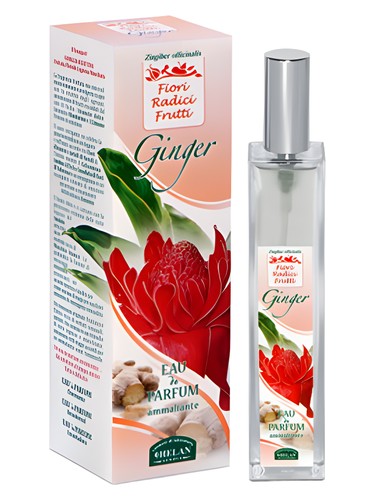 Helan Ginger fragrance bottle