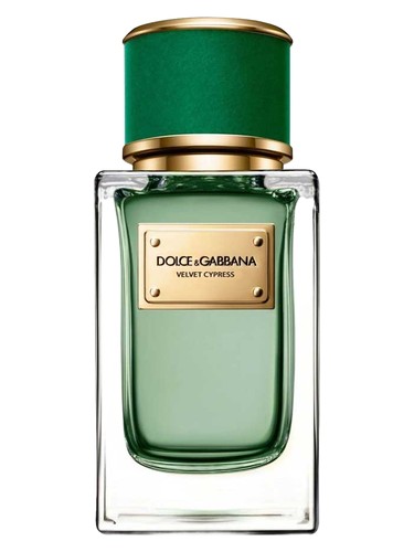 Dolce Gabbana Velvet Cypress fragrance bottle
