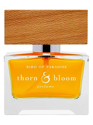 Thorn & Bloom Bird of Paradise