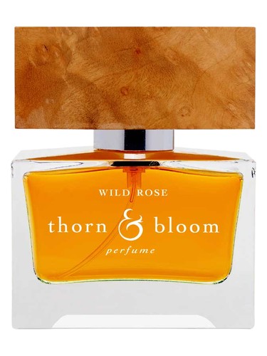 Thorn & Bloom Wild Rose