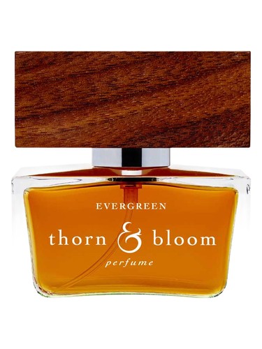 Thorn & Bloom Evergreen