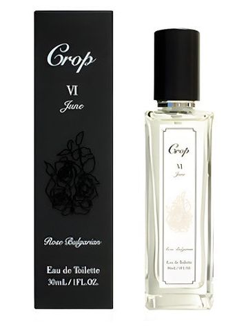 Crop VI June fragrance bottle