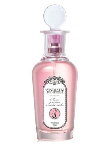 Brocard Лесная земляника и полевые травы - Wild Strawberry and Herbs fragrance bottle