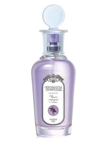Brocard Черная смородина и мята - Black currant and Mint fragrance bottle