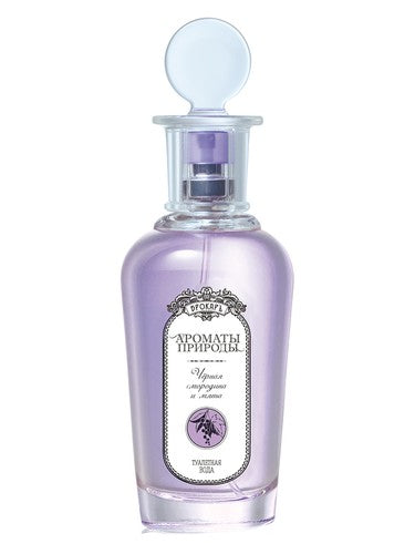 Brocard Черная смородина и мята - Black currant and Mint fragrance bottle