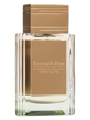 Ermenegildo Zegna Strength fragrance bottle