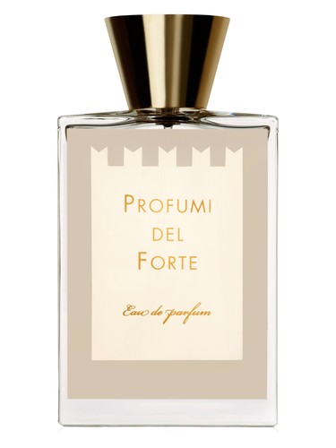 Profumi del Forte Vetiver Moderno fragrance bottle