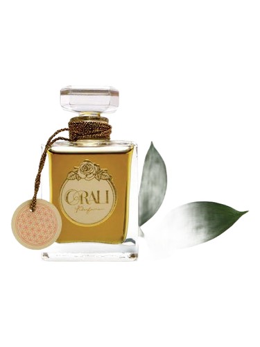 Orali Perfume Saint fragrance bottle