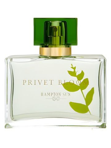 Hampton Sun Privet Bloom fragrance bottle