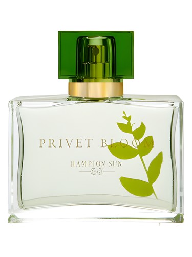 Hampton Sun Privet Bloom fragrance bottle