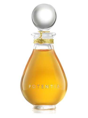 The House Of Potentia Amber God fragrance bottle