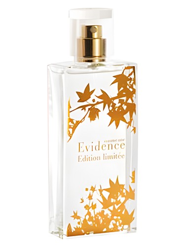 Yves Rocher Comme Une Evidence Limited Edition 2008 fragrance bottle