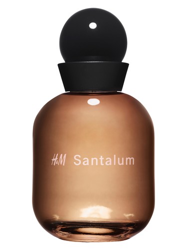 H M H&M Santalum fragrance bottle
