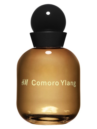 H M H&M Comoro Ylang fragrance bottle