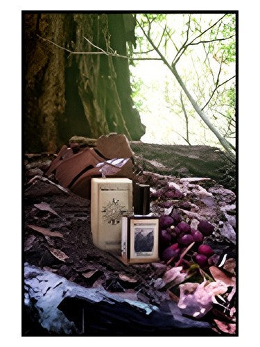 Solstice Scents Black Forest