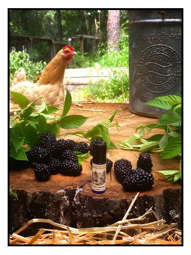Solstice Scents Blackburn Farmstead