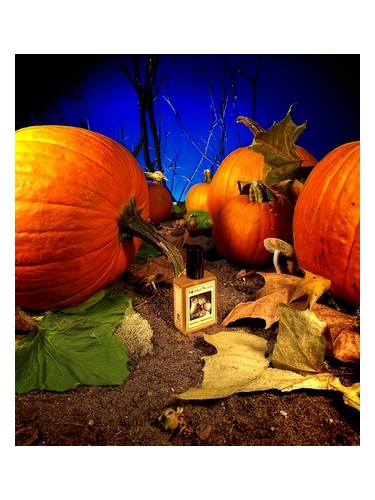 Solstice Scents Gunnerson's Pumpkin Patch