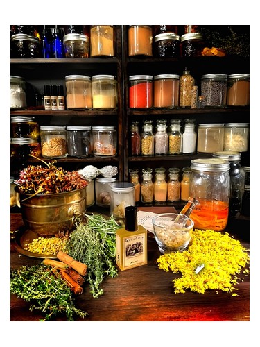 Solstice Scents Wilcox's