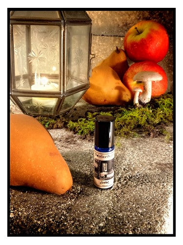 Solstice Scents Cellar