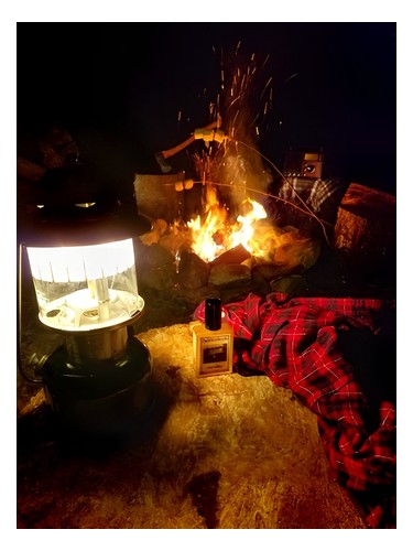Solstice Scents Camp Willow