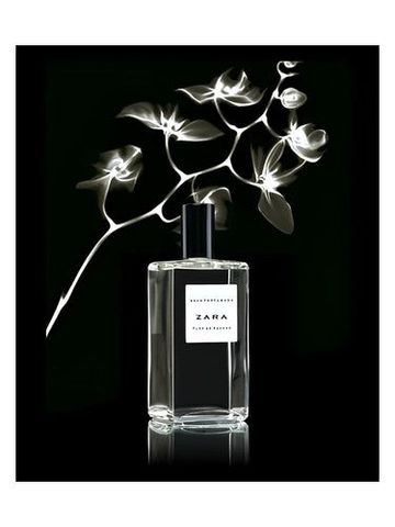Zara Flor de Azahar fragrance bottle