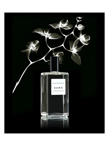 Zara Flor de Azahar fragrance bottle