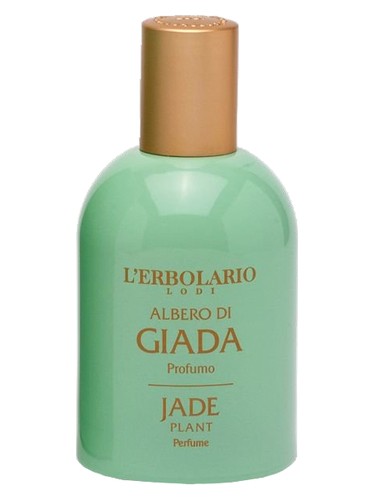L Erbolario Jade Plant