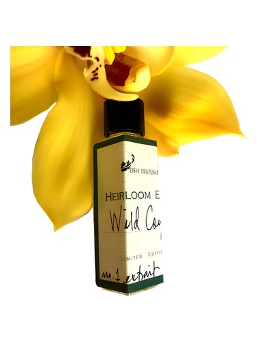DSH Perfumes Wild Coyote fragrance bottle