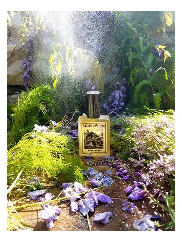 Solstice Scents After the Rain