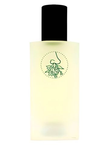 Jorum Studio Psychoterratica I fragrance bottle
